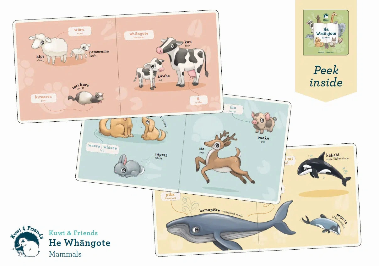 Kuwi And Friends He Whngote Mammals