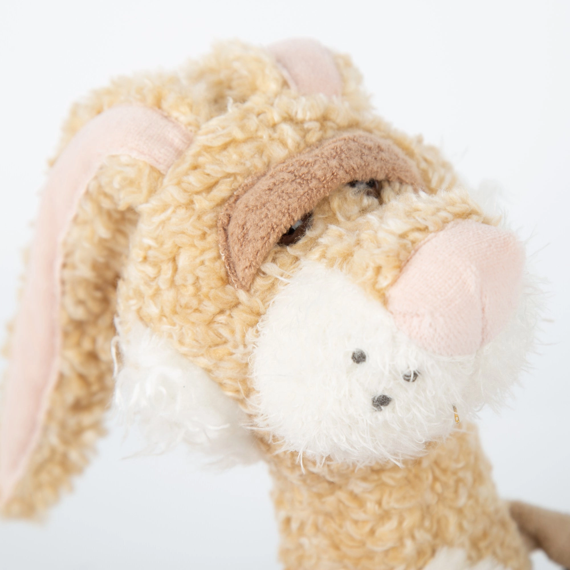 Lazy Bunny