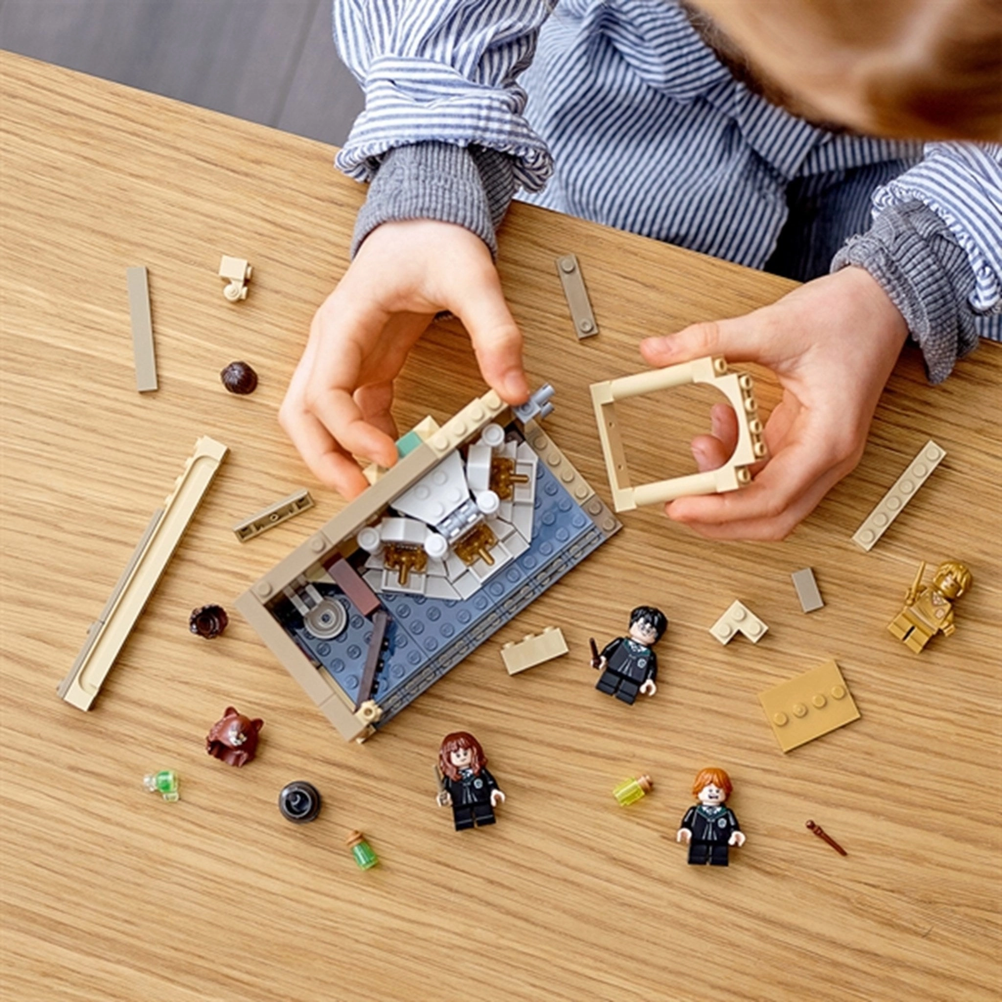 LEGO Harry Potter?Hogwarts? Polyjuice Potion Mistake