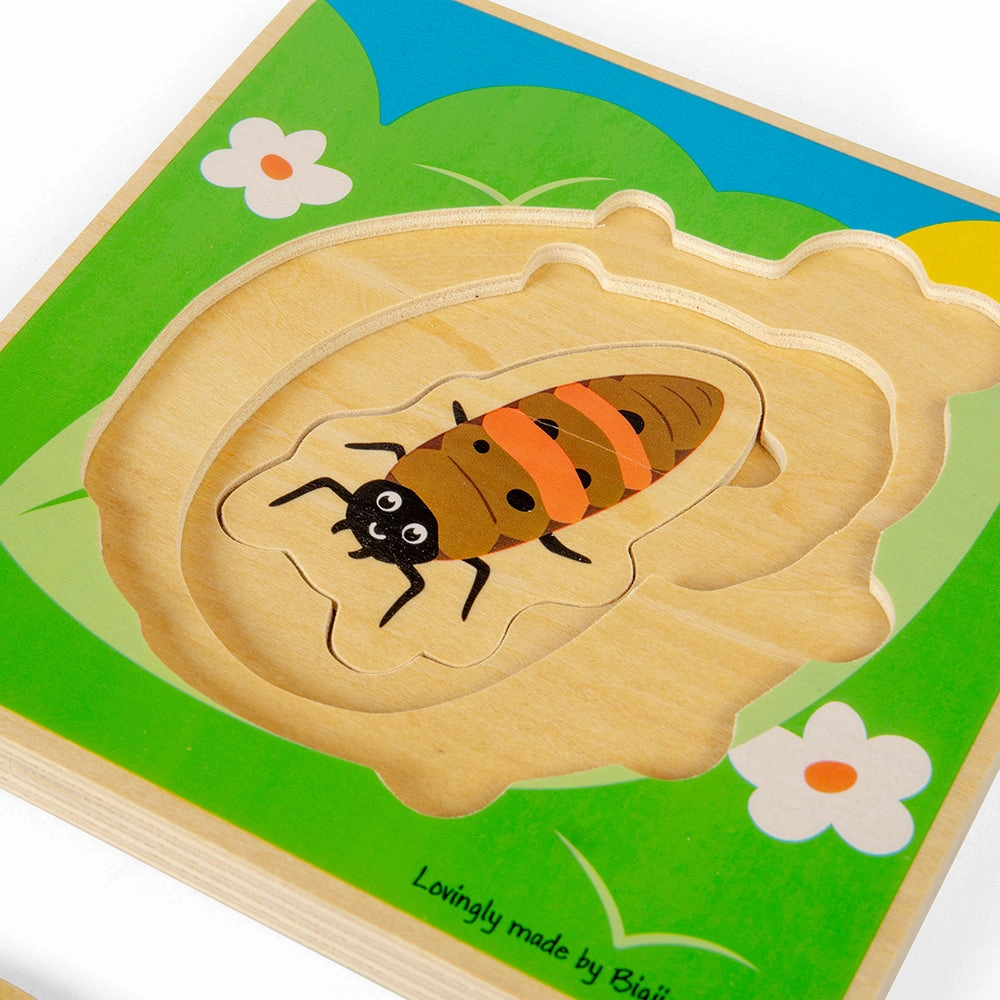 Lifecycle Layer Puzzle - Ladybug