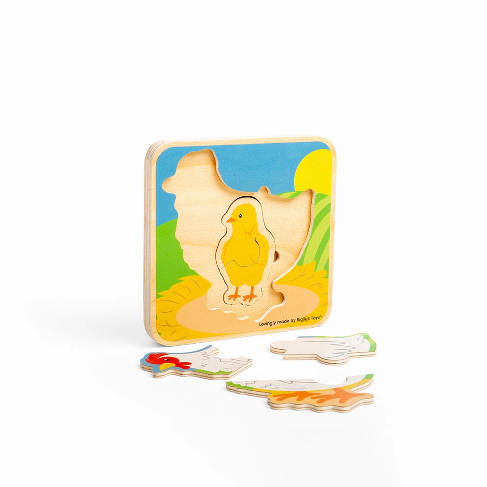 Lifecycle Puzzle - Chicken