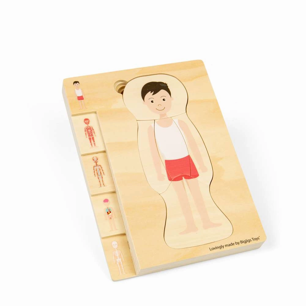 Male Human Anatomy Puzzle