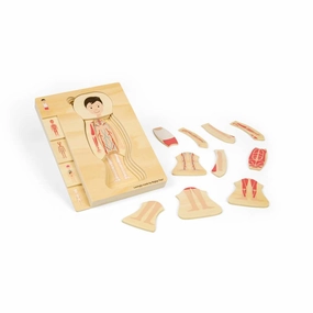Male Human Anatomy Puzzle