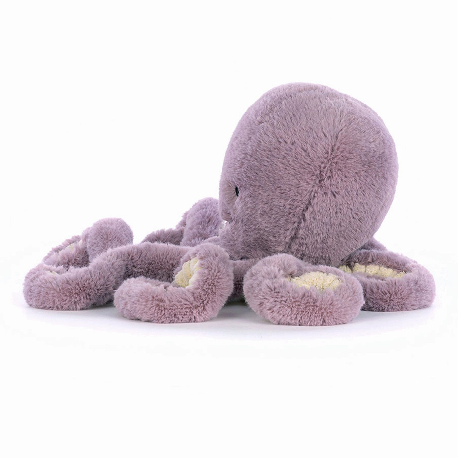 Maya Octopus