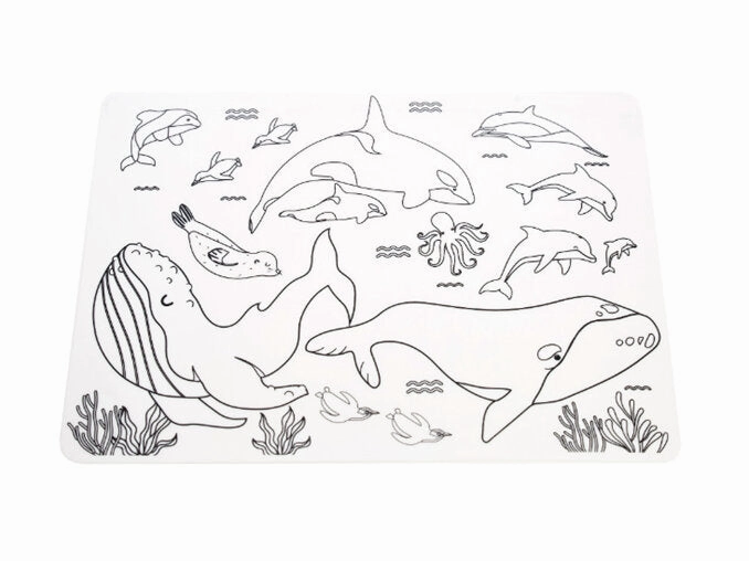 Moana Rd Colour-In Placemats Animals of Aotearoa