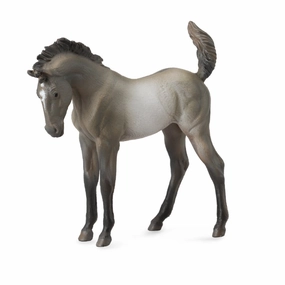 Mustang Foal Grulla