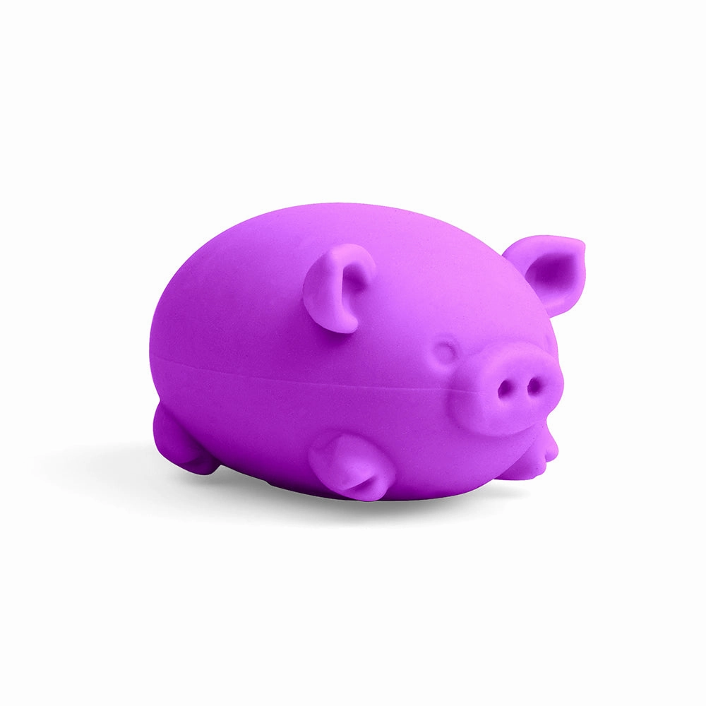NeeDoh Dig It Pig (Sold individually) - DAMAGED BOX