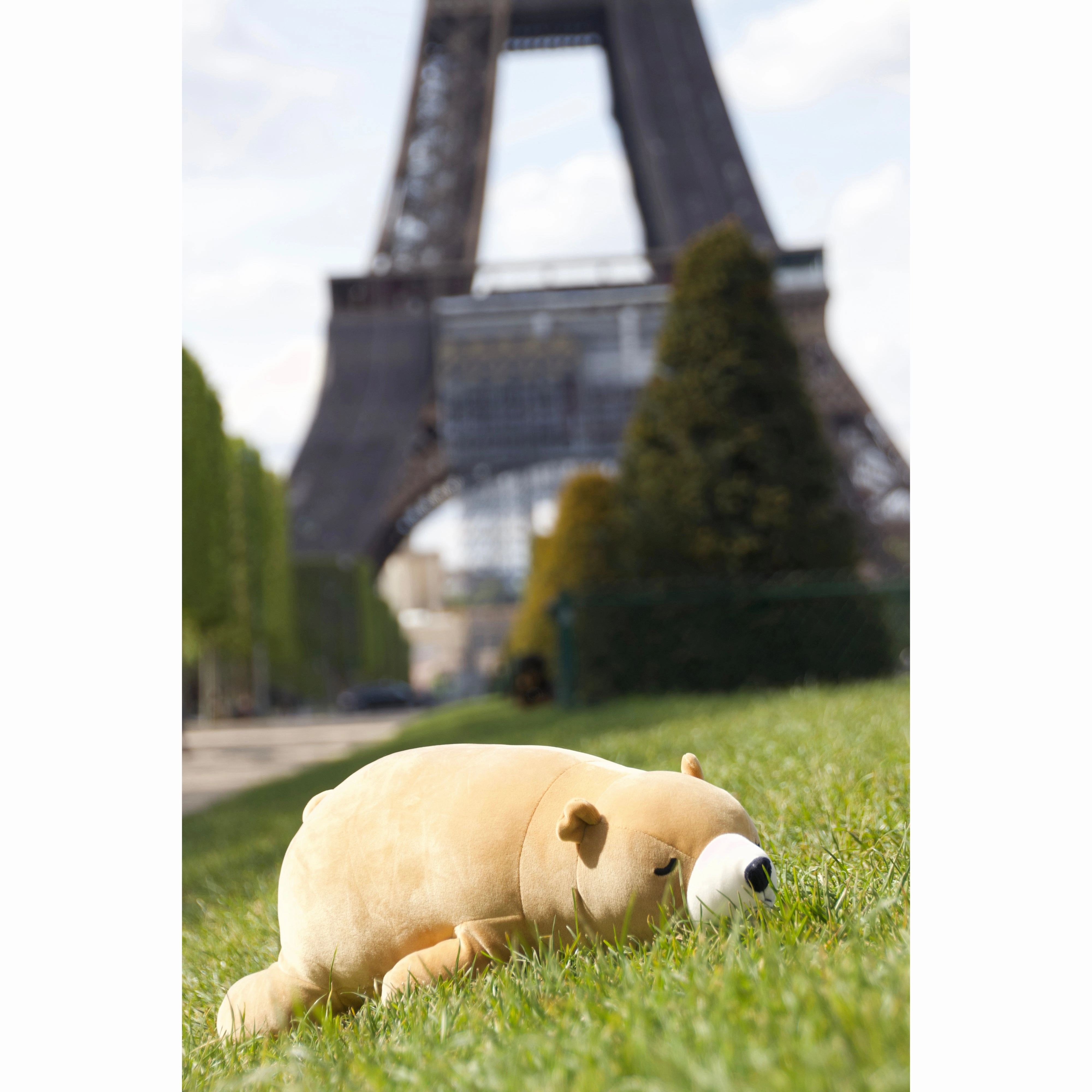 nemu nemu animals Cookie Brown Bear