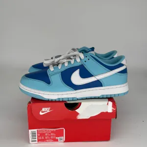 NIKE DUNK LOW ARGON SIZE 9 DM0121-400