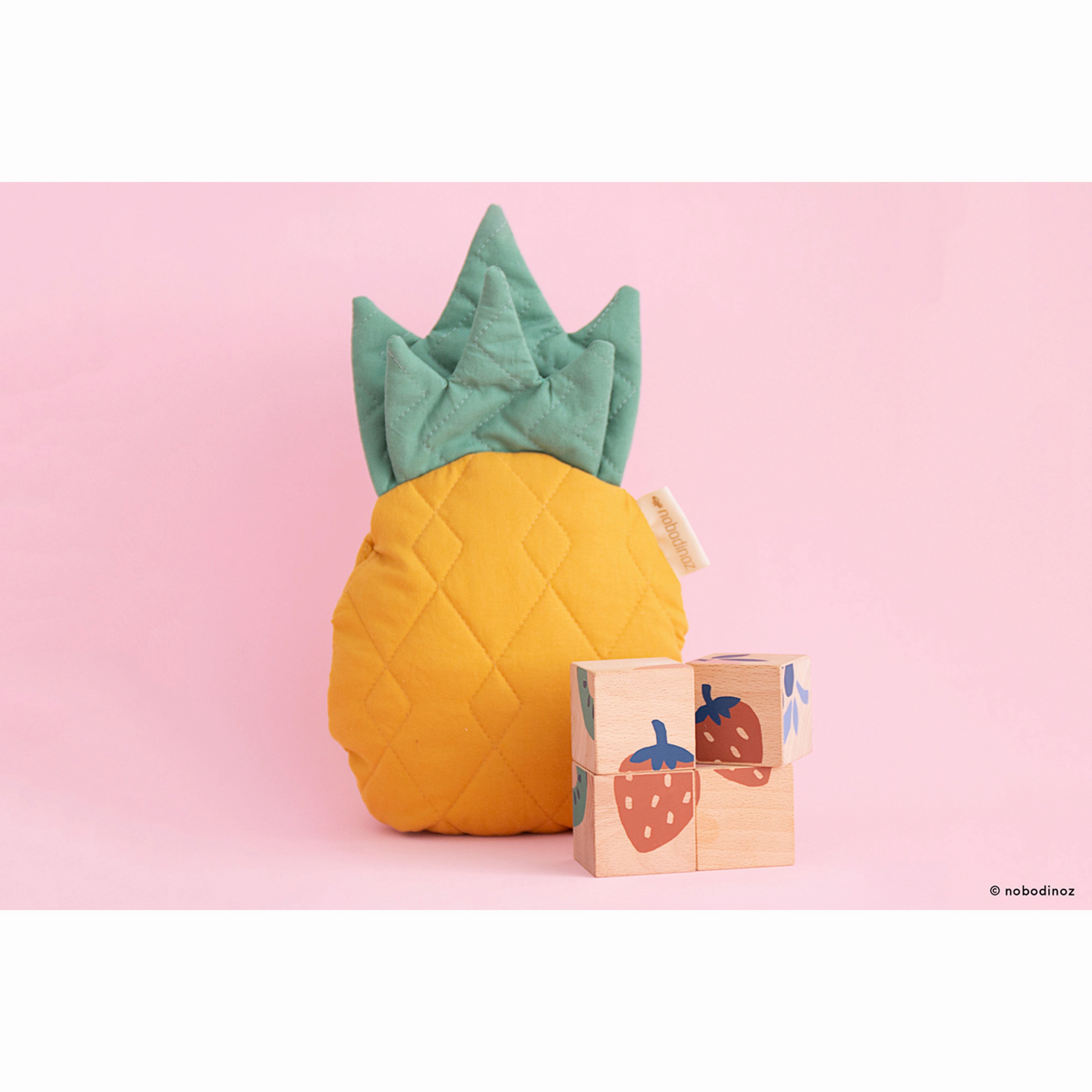 nobodinoz Fruits Wooden Cubes