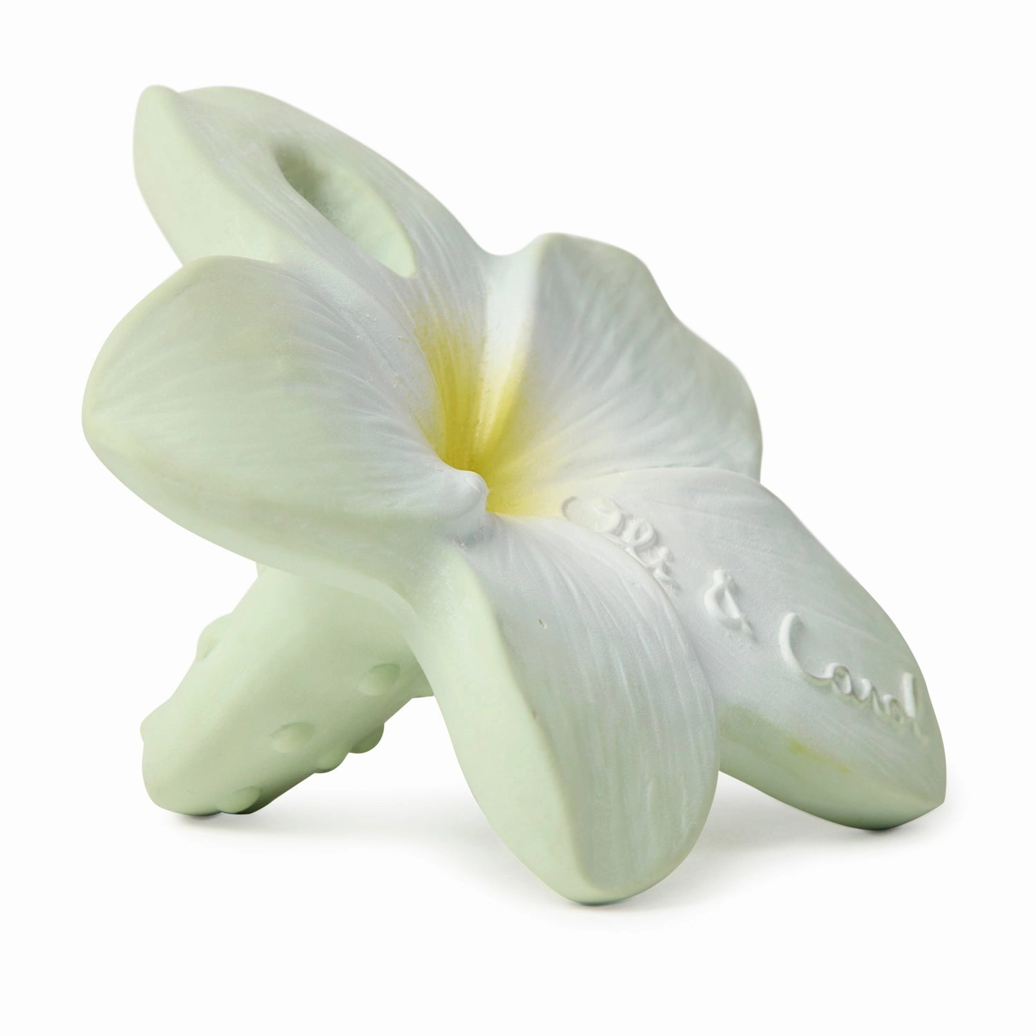 Oli & Carol Chewy-to-Go Bali the Flower Teether