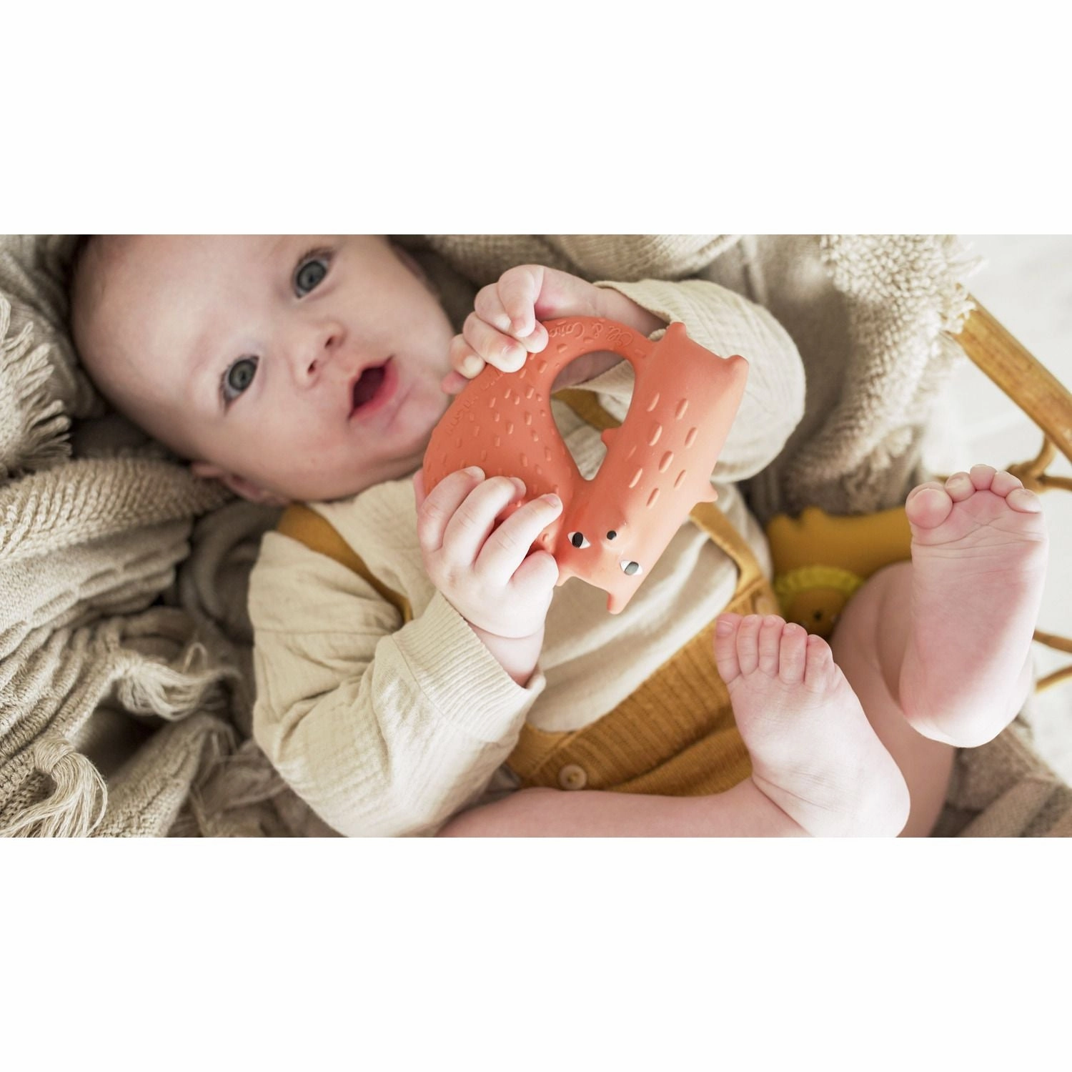 Oli & Carol Cyril Squirrel Fox Teether