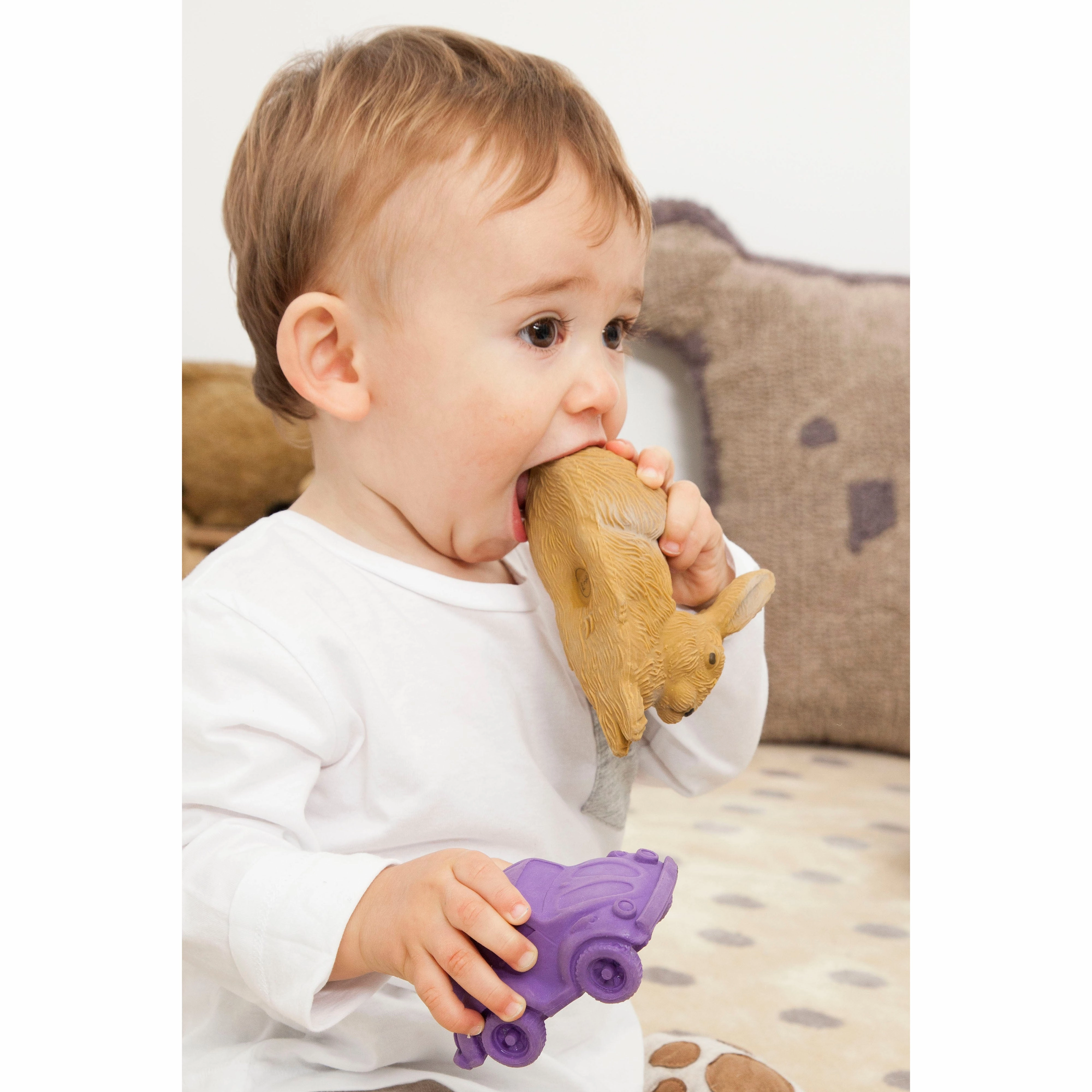Oli & Carol Forest Collection: Rabbit and Mushrooms Teether