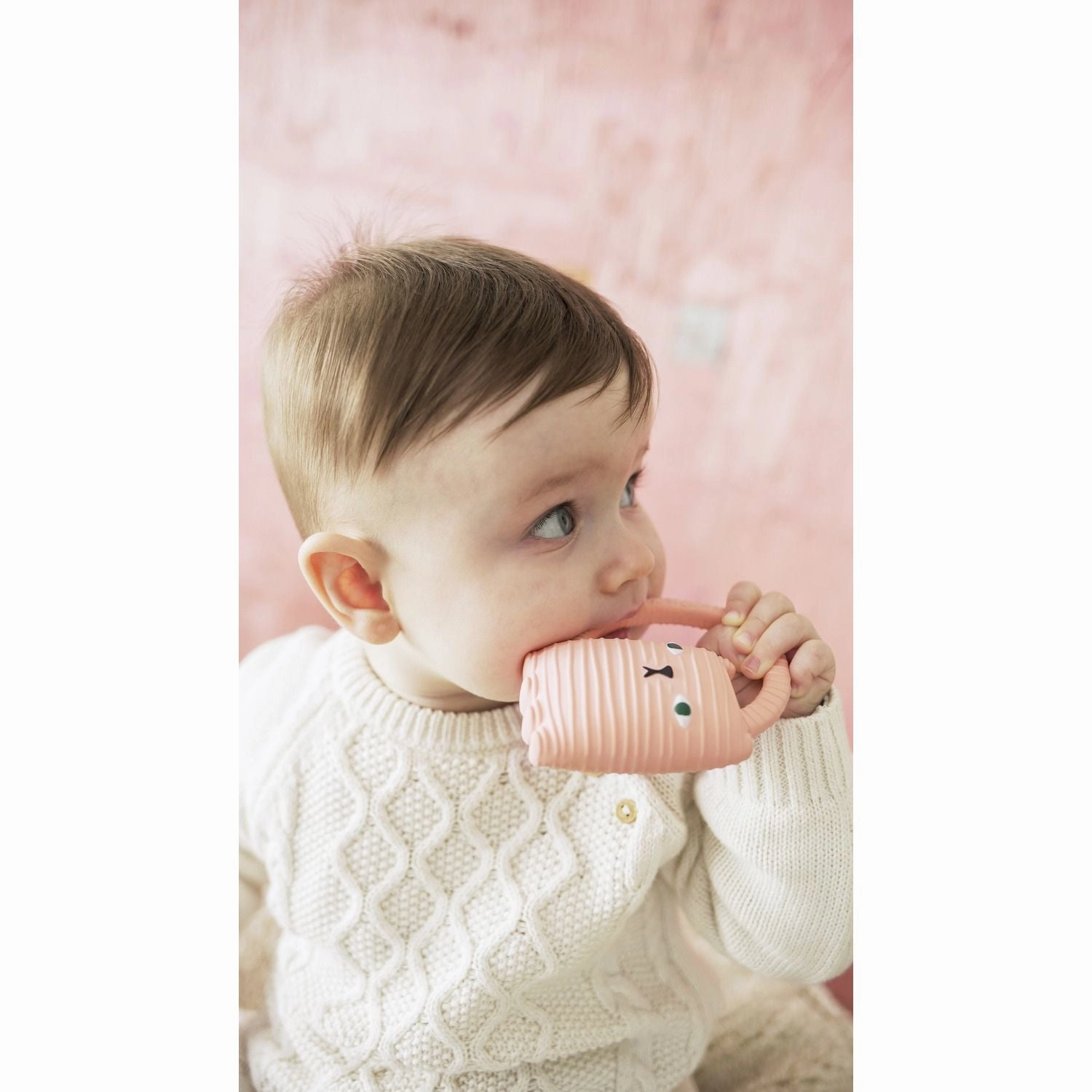 Oli & Carol Ginge Cat Teether