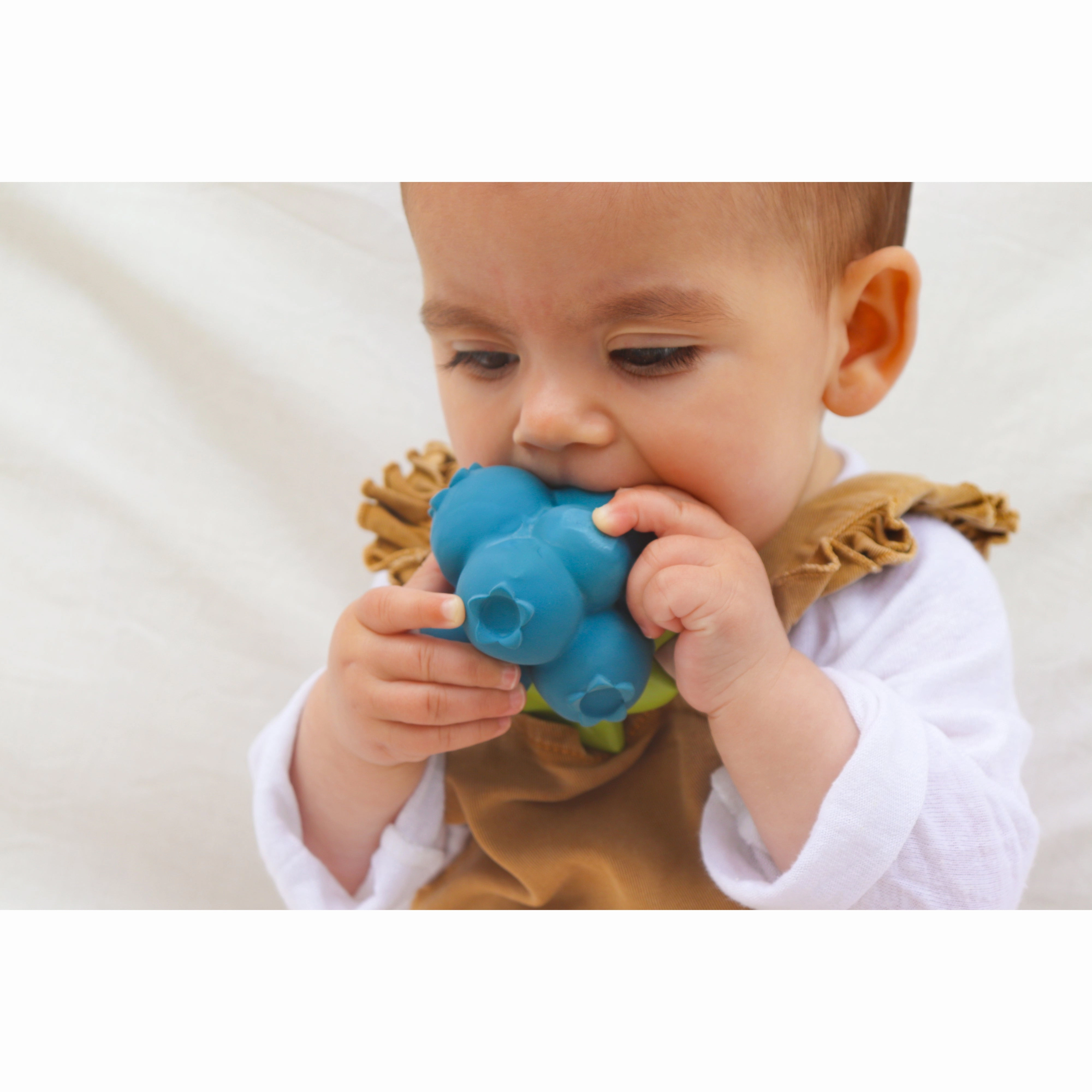 Oli & Carol Jerry The Blueberry Teether
