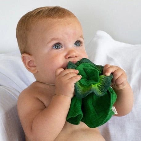 Oli & Carol Kendall The Kale Mini Doudou-Teether