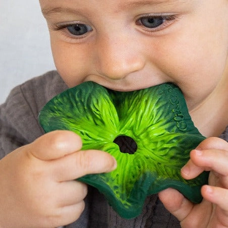 Oli & Carol Kendall The Kale Mini Doudou-Teether