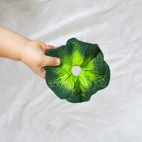 Oli & Carol Kendall The Kale Mini Doudou-Teether