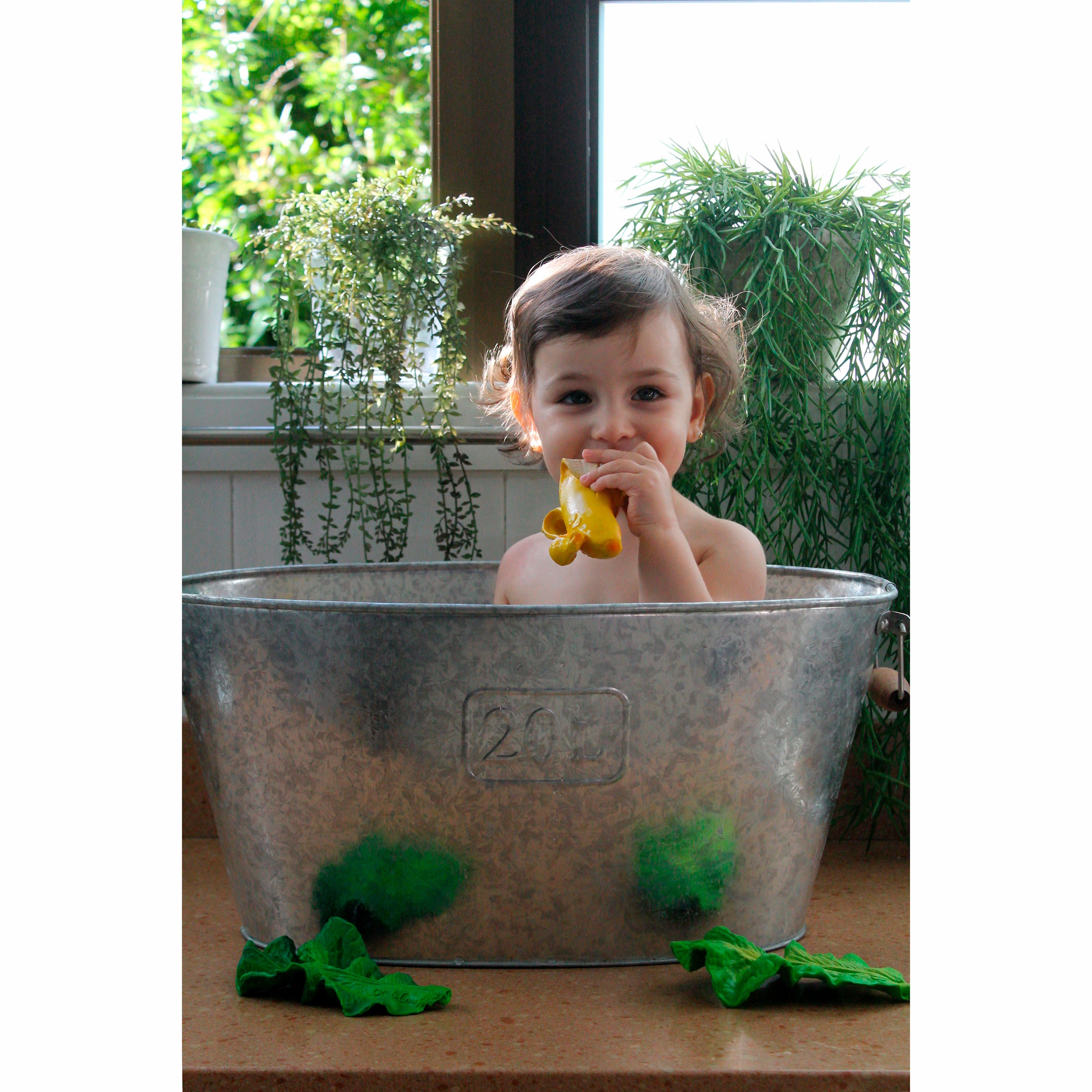 Oli & Carol Kendall the Kale Teether