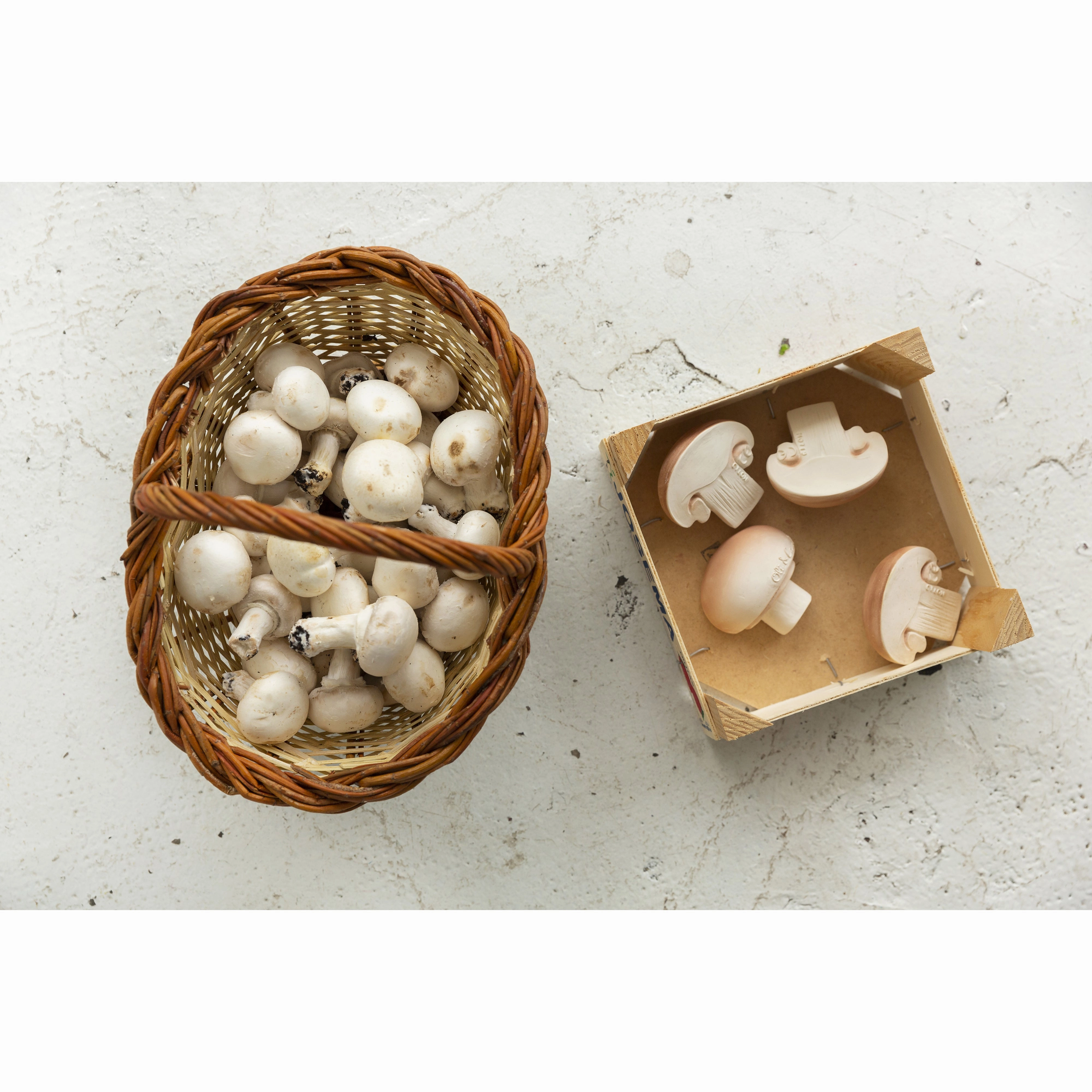 Oli & Carol Manolo The Mushroom Teether