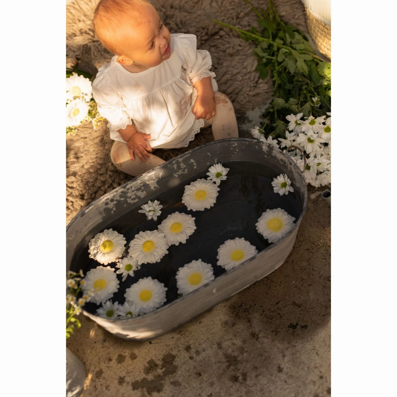 Oli & Carol Margarita the Daisy Teether