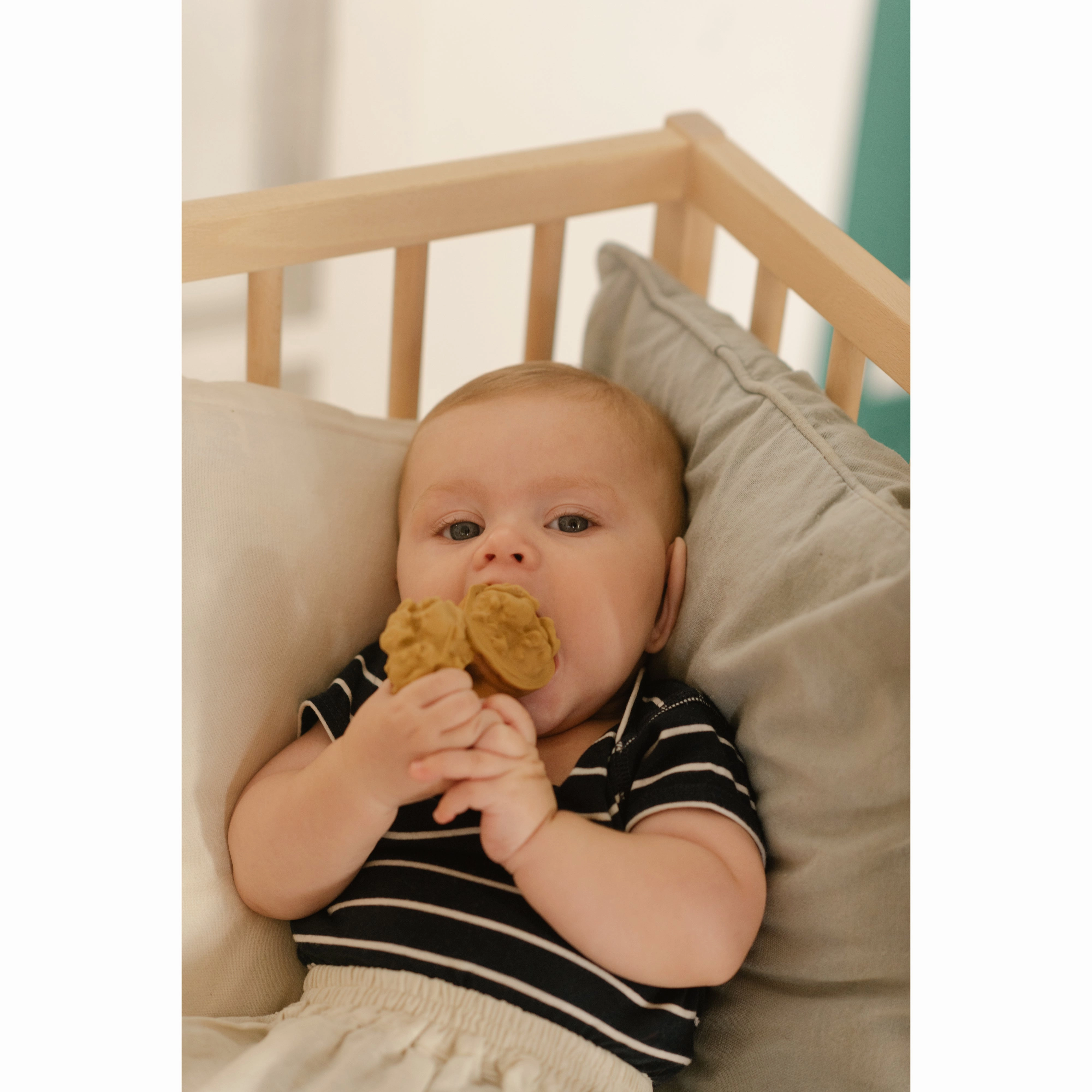 Oli & Carol Nutty The Nut Teether