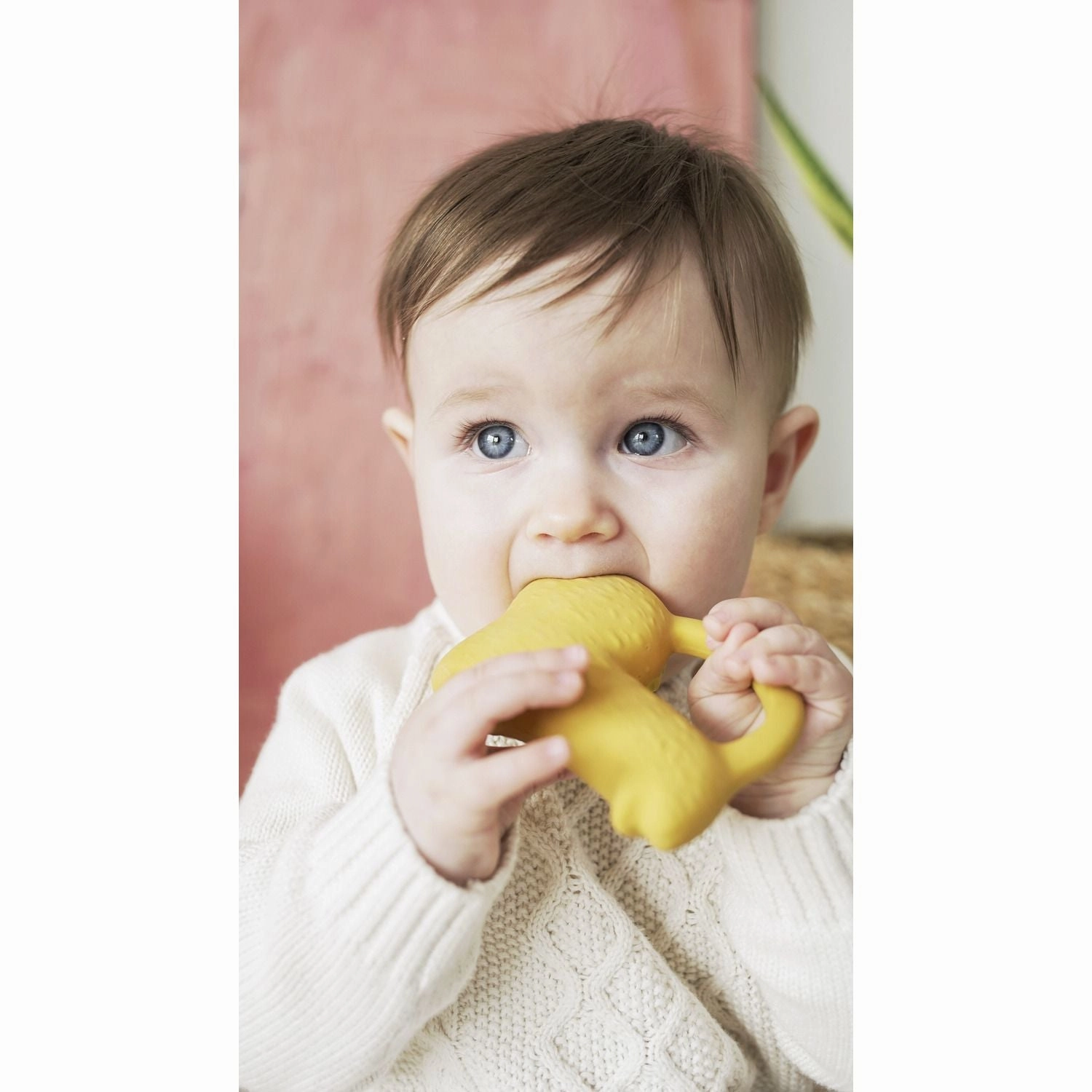 Oli & Carol Richie Lion Teether
