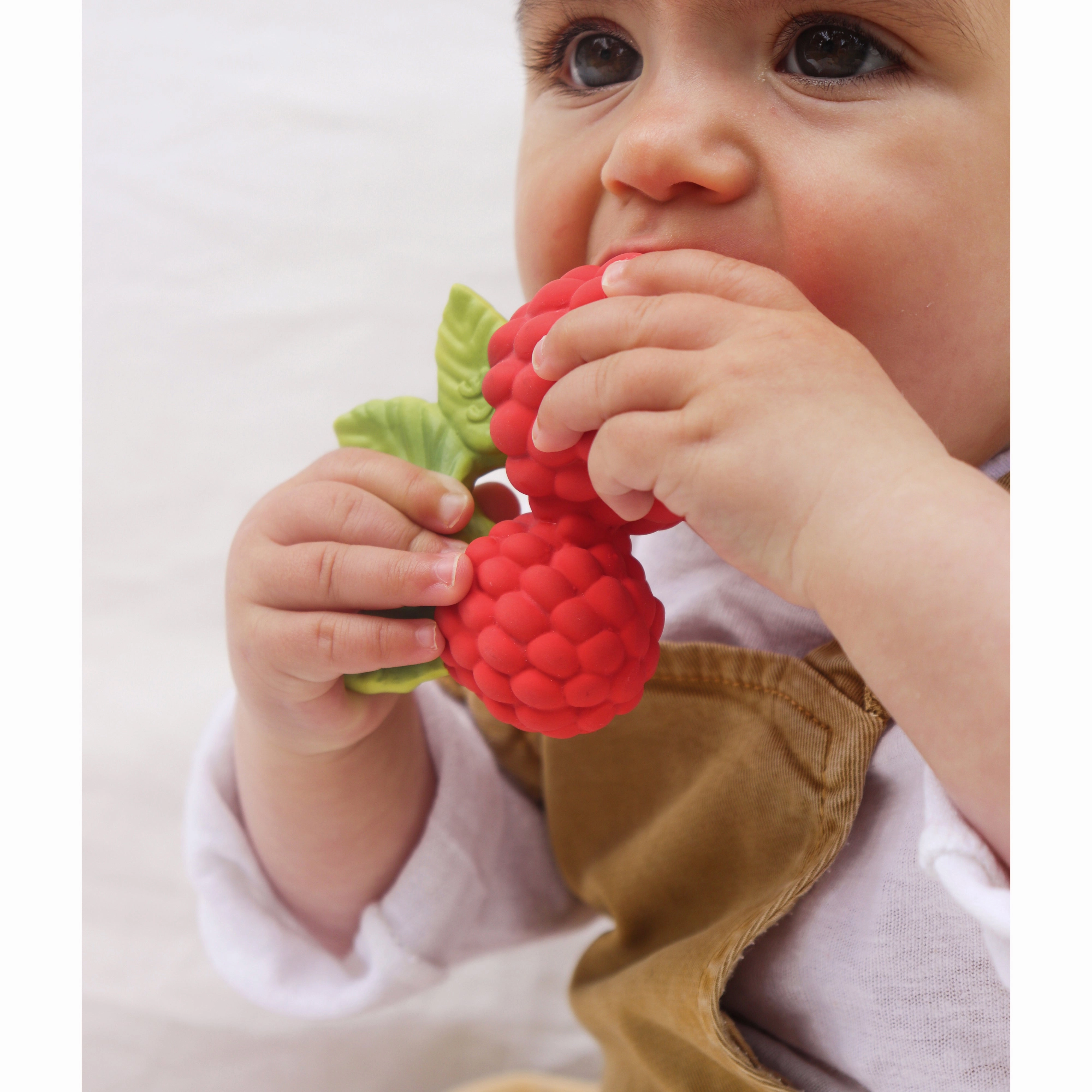 Oli & Carol Valery The Raspberry Teether