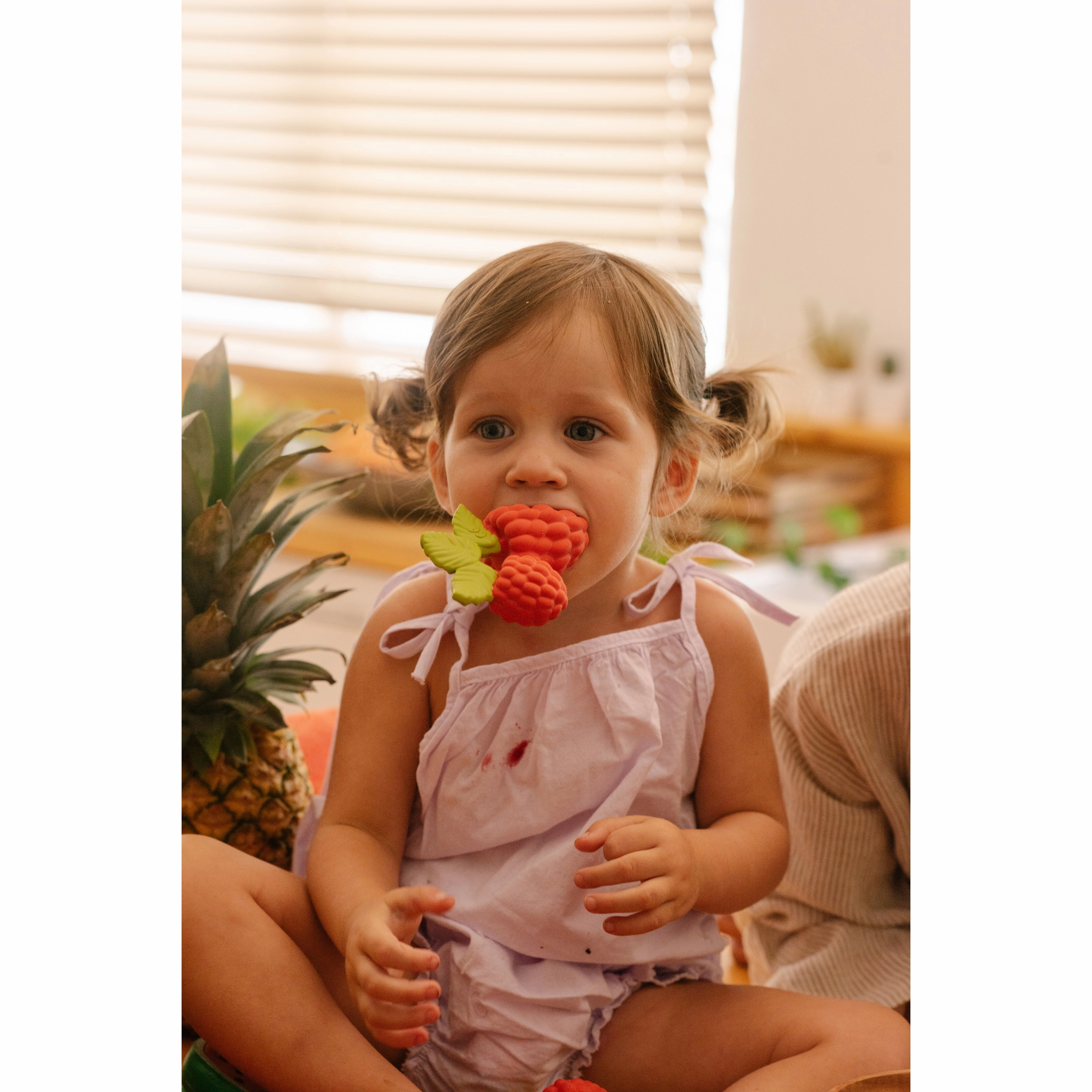 Oli & Carol Valery The Raspberry Teether