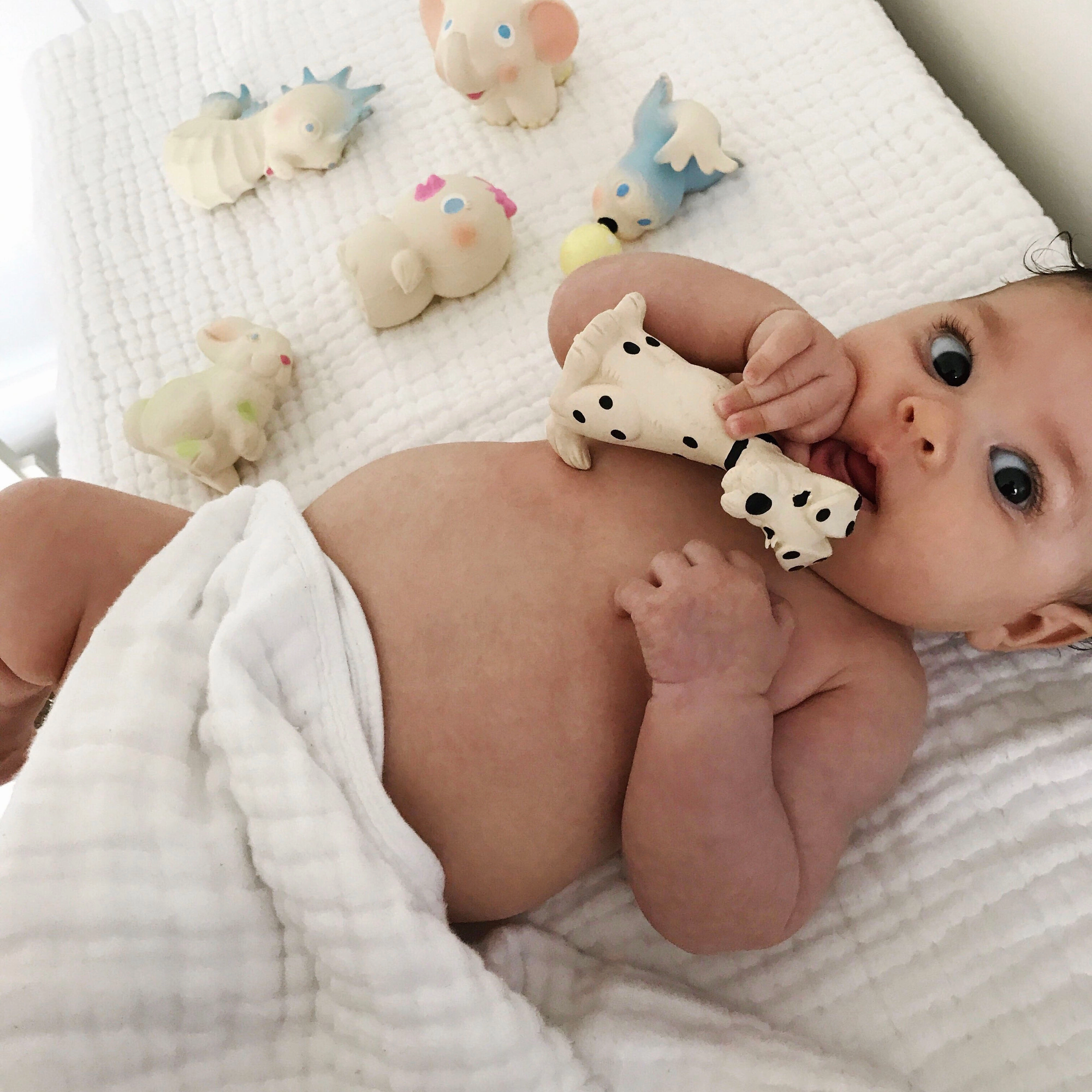Oli & Carol Vintage Bob the Bunny Teether