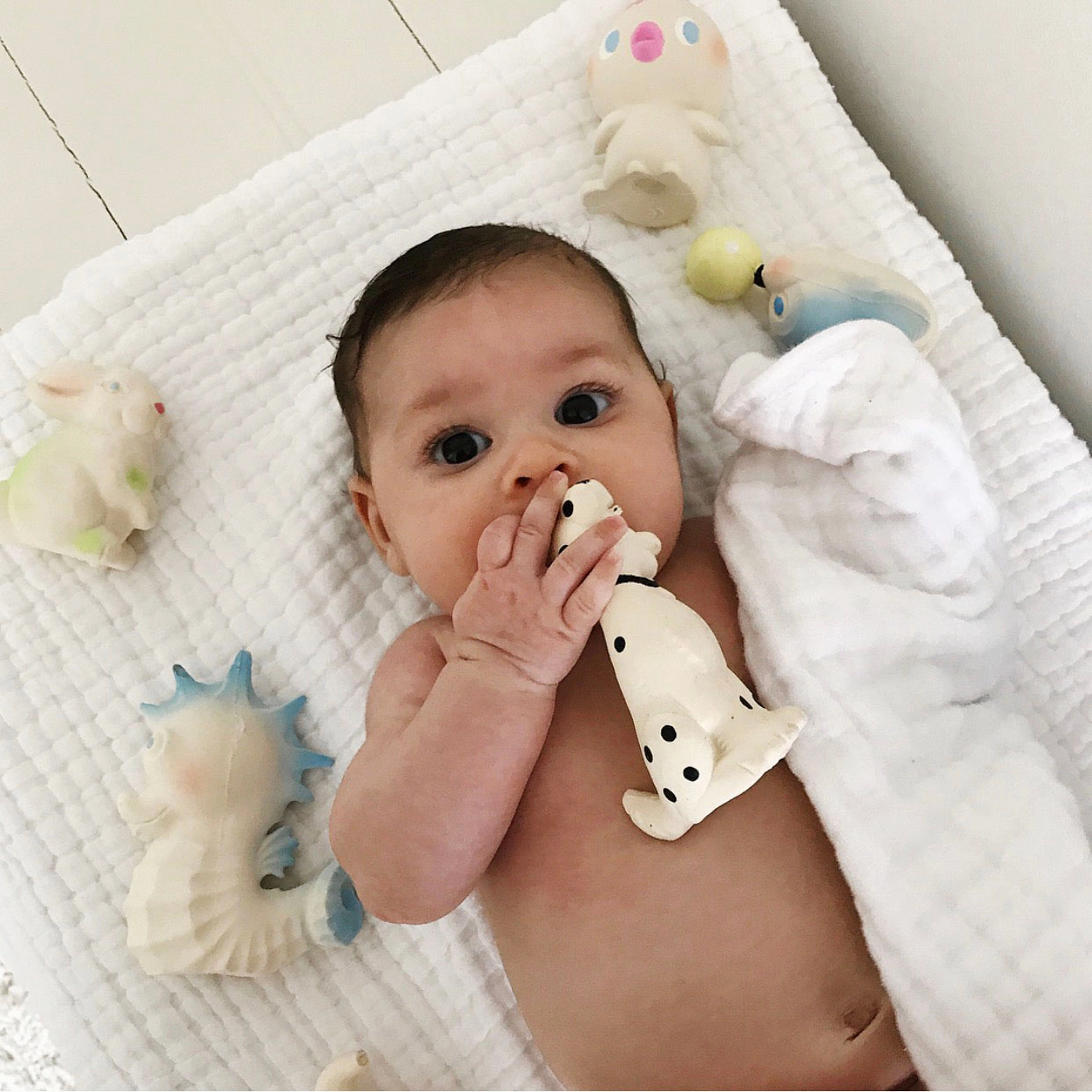 Oli & Carol Vintage Bob the Bunny Teether