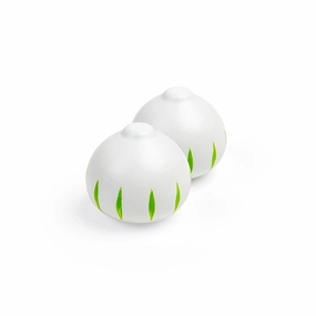 Onion (Pack of 2)
