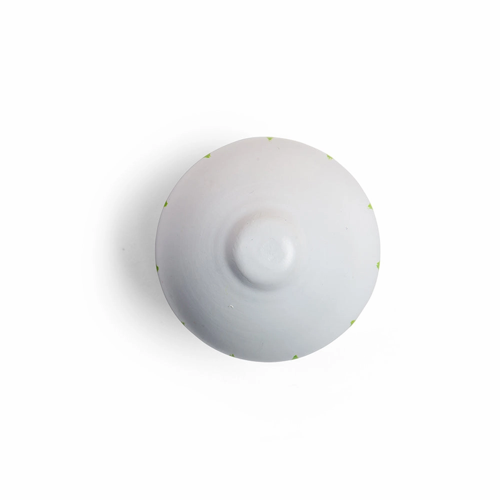 Onion (Pack of 2)