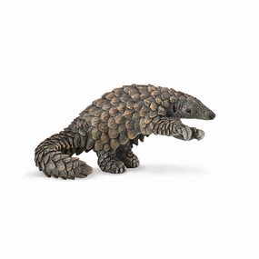 Pangolin