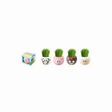 Paris Garden Jungle Animals Ryegrass Pot Assorted Pack of 1 - Multicolour