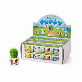 Paris Garden Jungle Animals Ryegrass Pot Assorted Pack of 1 - Multicolour