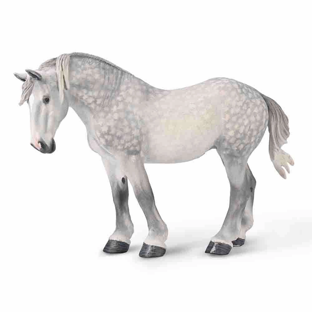 Percheron Mare C  Dappled Grey