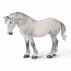 Percheron Mare C  Dappled Grey