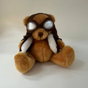 Pilot Bear