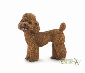 Poodle