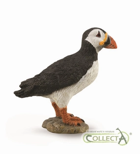 Puffin