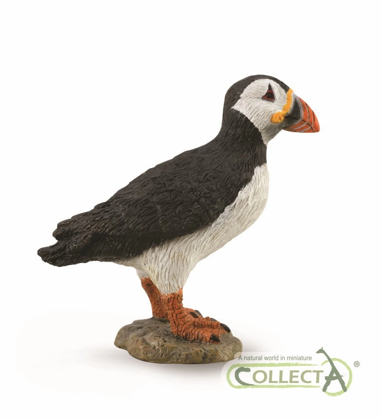 Puffin