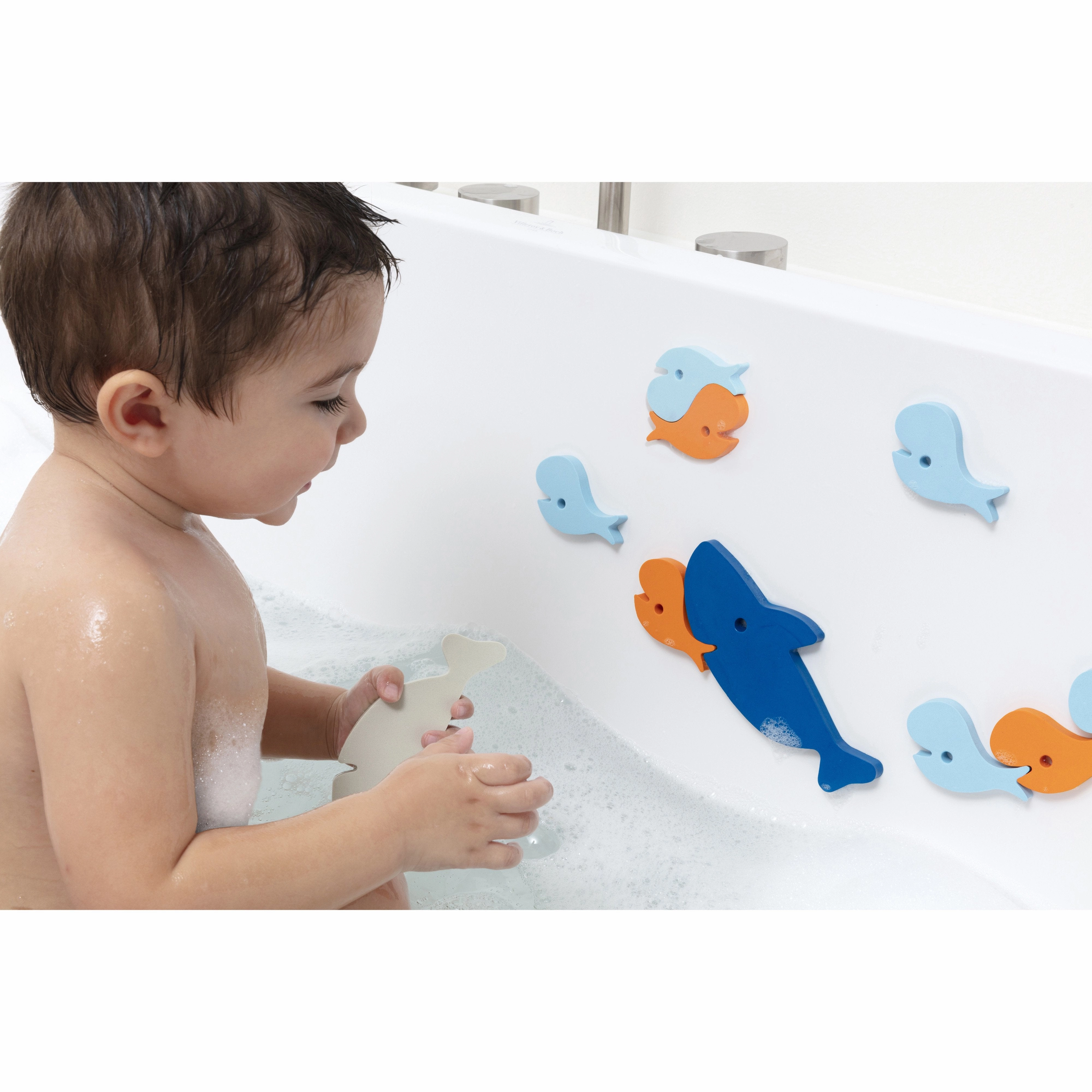 Quut Quutopia Shark Bath Puzzle