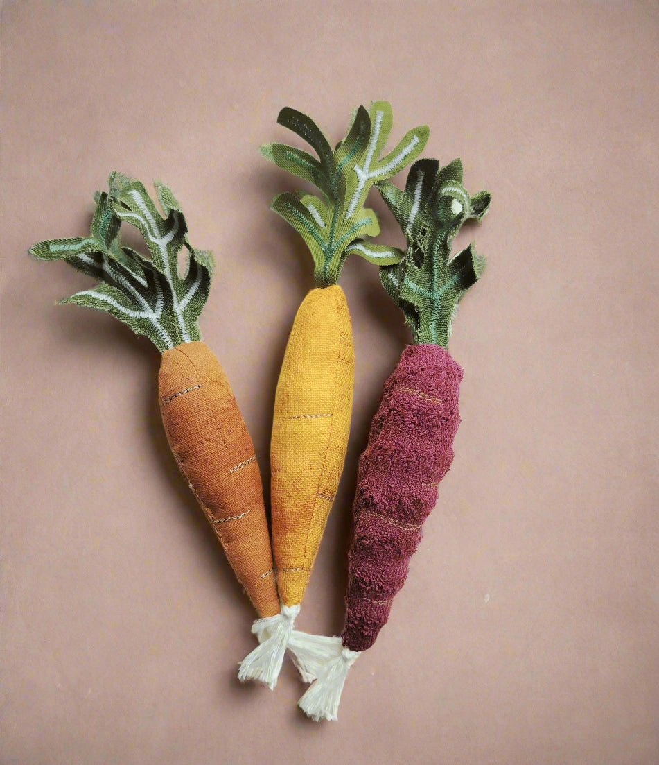 Rainbow Carrot Set  Set of 3  - Upcycled Toy no Waste normas
