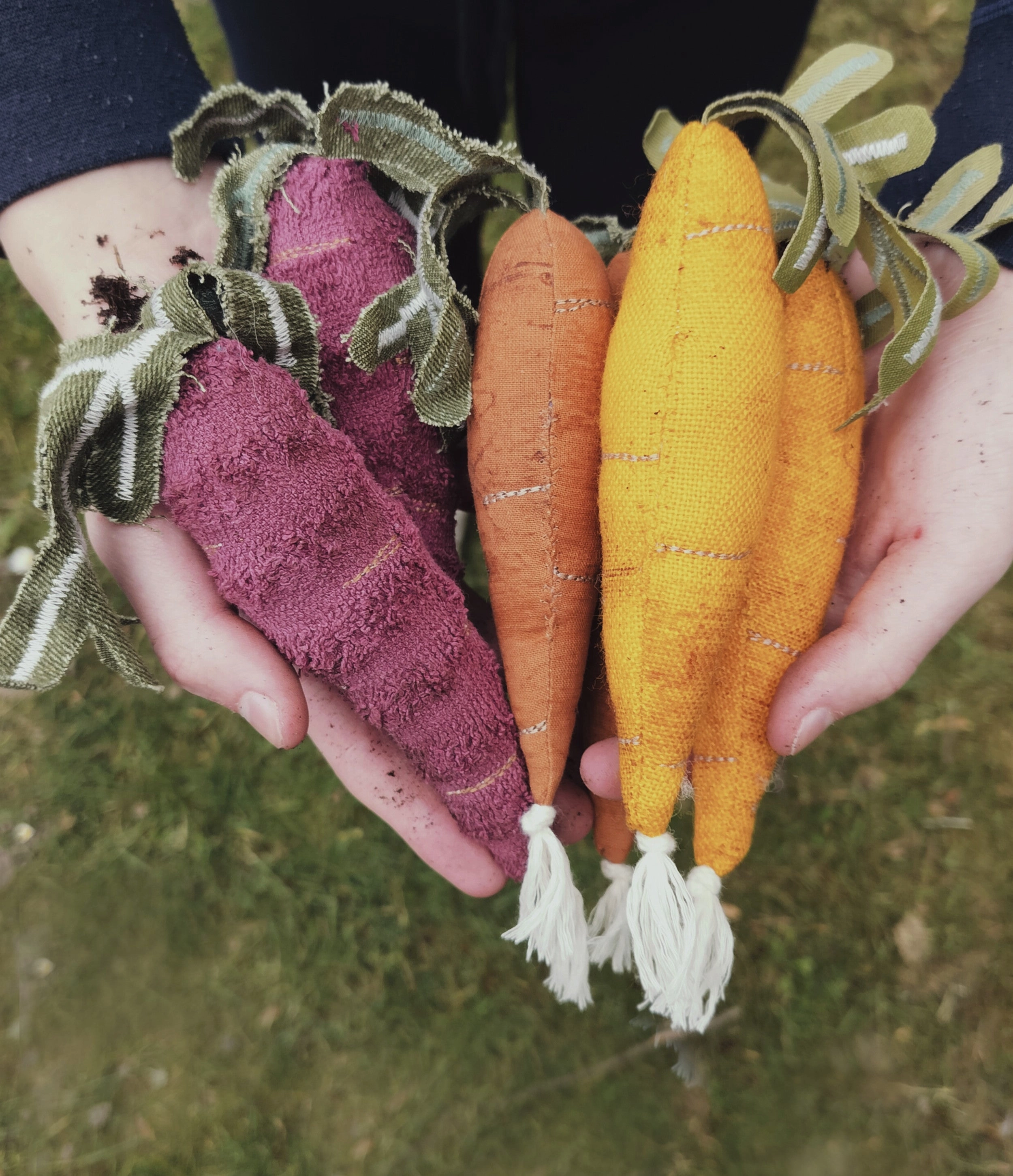 Rainbow Carrot Set  Set of 3  - Upcycled Toy no Waste normas
