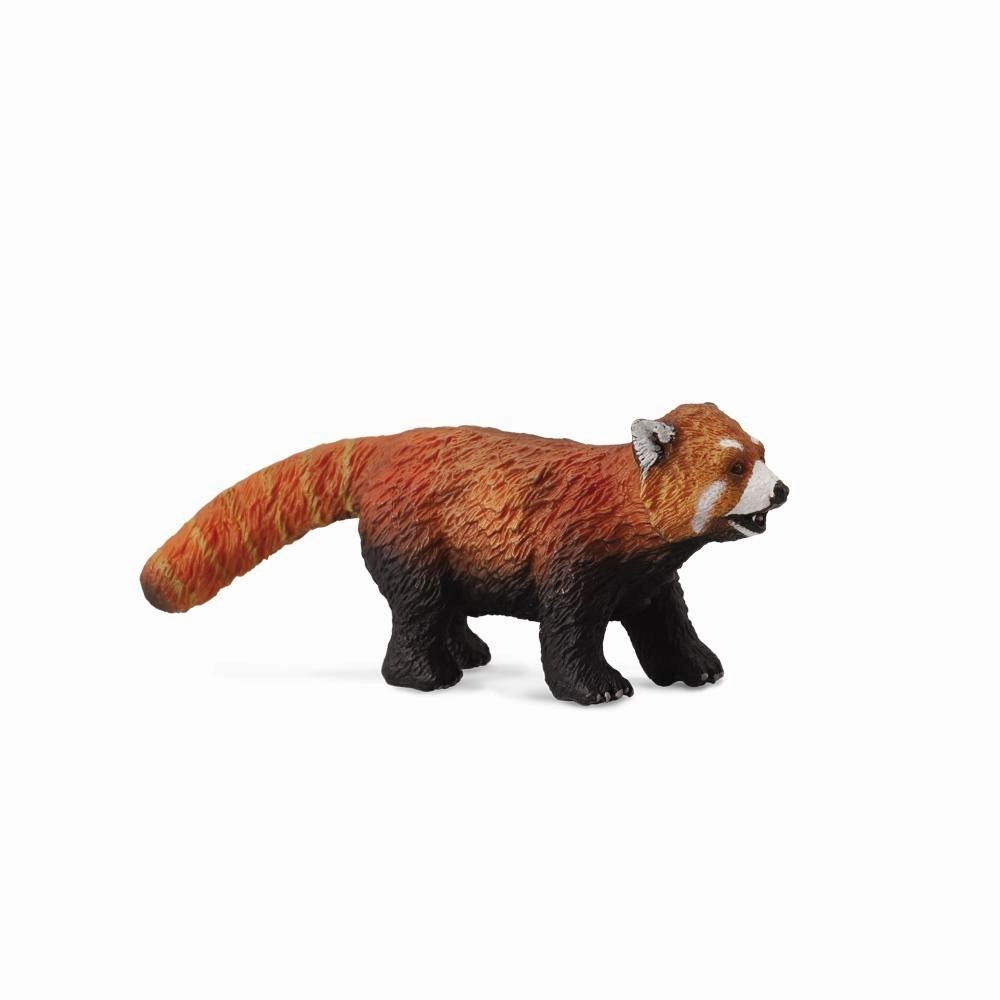 Red Panda