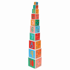 Rex Set of 10 Big Top Circus Nesting Blocks