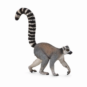 Ring-Tailed Lemur
