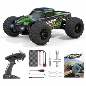 SAM Toys - 1:16 High speed RC car (chargable) Hobby Line Assorted
