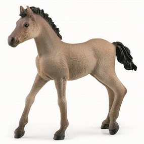 Schleich Horse Club Criollo Definitivo Foal